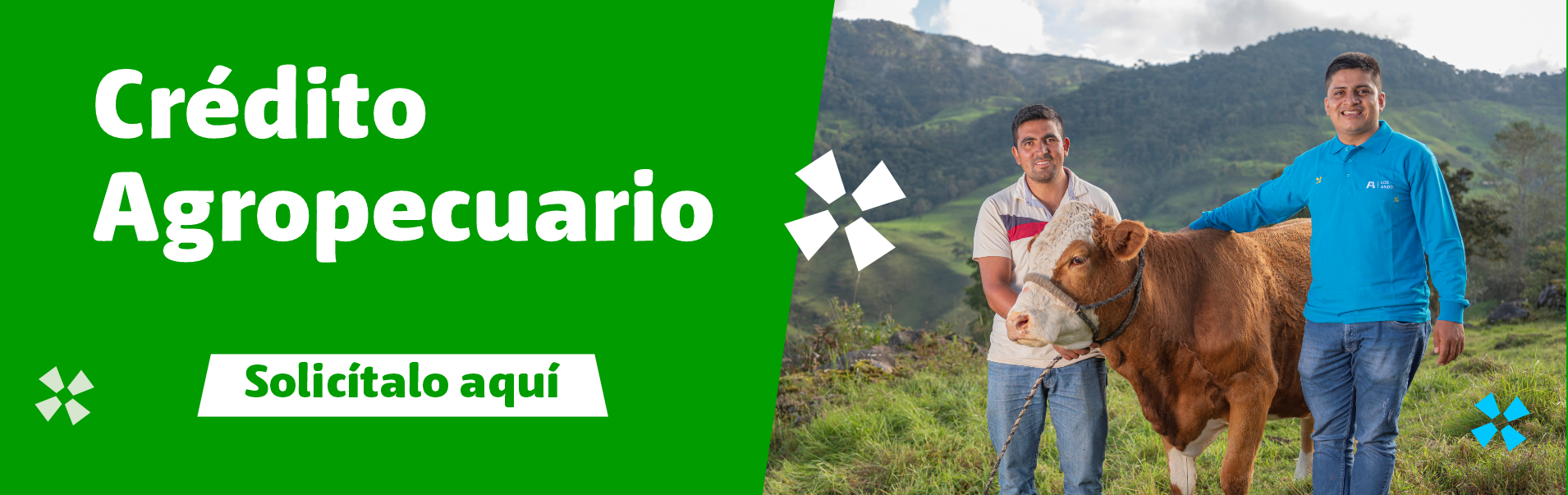 banner agropecuario